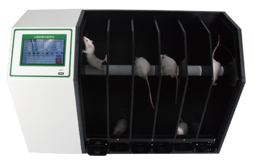 BLD-ZB6X 小鼠转棒疲劳仪